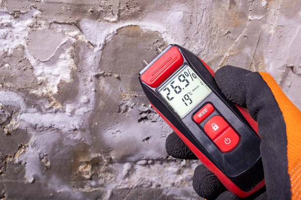 Best Emergency Mold Removal  in Liberty, IN
