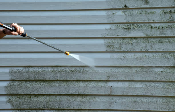 Best Water Damage Restoration  in Liberty, IN