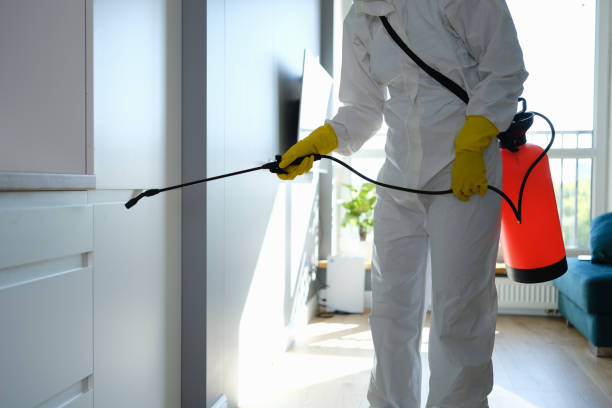 Best Residential Mold Removal  in Liberty, IN