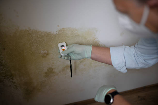 Water Damage Restoration in Liberty, IN