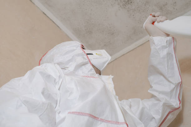 Best Professional Mold Removal  in Liberty, IN