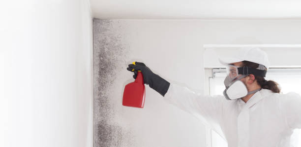 Best Home Mold Removal  in Liberty, IN